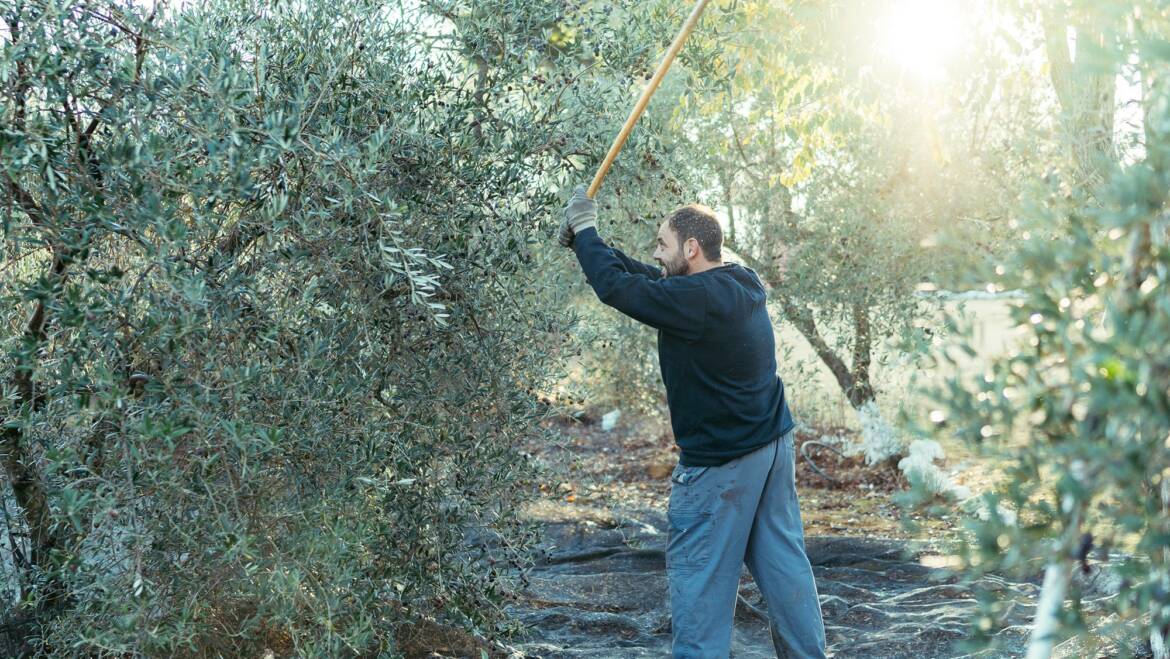 Η επεξεργασία…